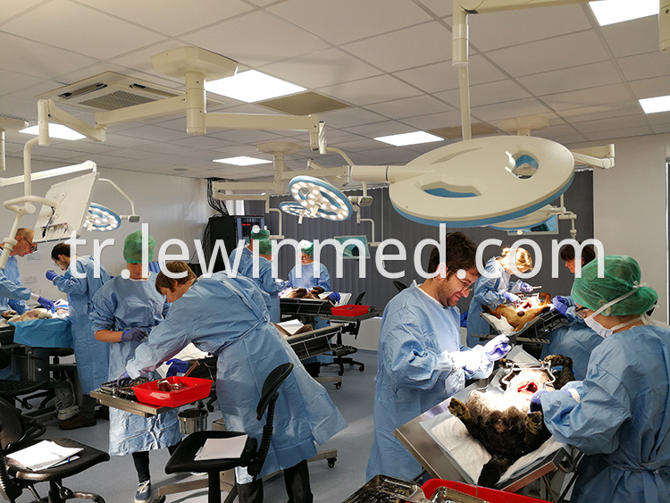 Led Surgical Light